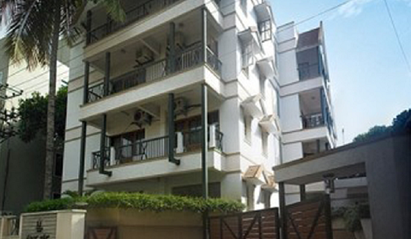 Featured Image of Prestige Evergreen Prestige Aster