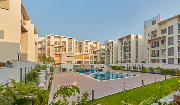 Featured Image of Prestige Evergreen Prestige Casabella