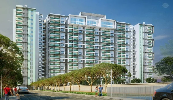 Featured Image of Prestige Evergreen Prestige D Art