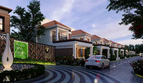 Featured Image of Prestige Evergreen Prestige Dew Drops