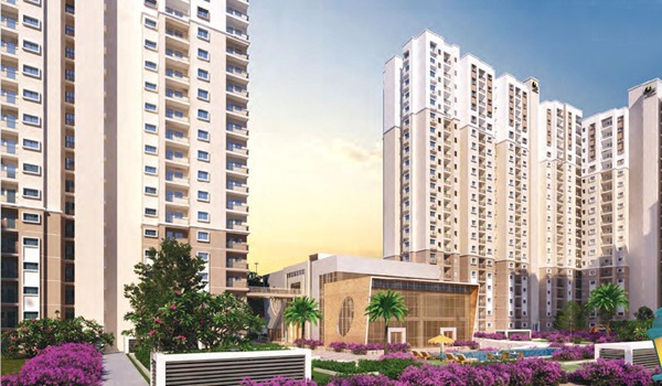 Featured Image of Prestige Evergreen Prestige Evergreen Vs Prestige Finsbury Park Hyde Buyers Guide 2025