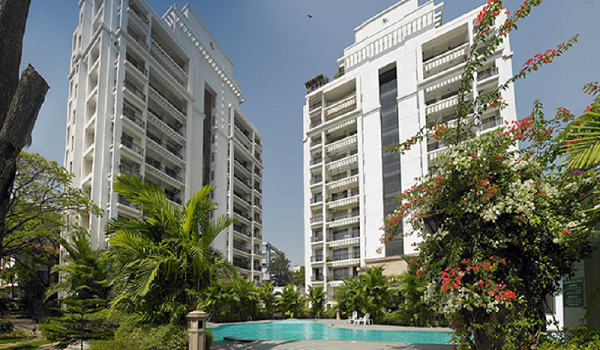 Featured Image of Prestige Evergreen Prestige Exotica