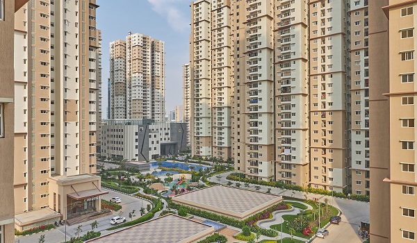 Featured Image of Prestige Evergreen Prestige High Fields