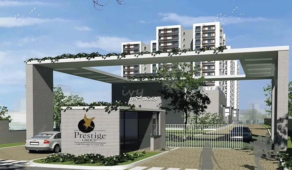 Featured Image of Prestige Evergreen Prestige Ivy Terraces