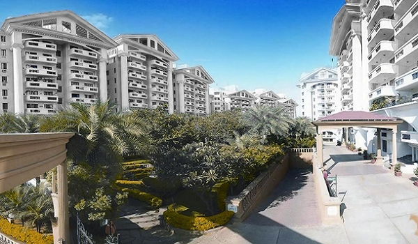 Featured Image of Prestige Evergreen Prestige Lansdowne