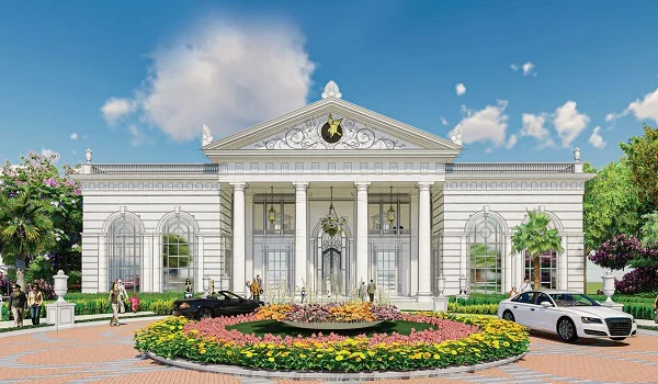 Featured Image of Prestige Evergreen Prestige Marigold