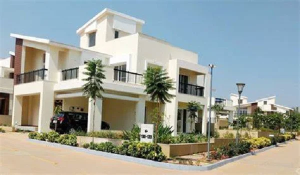 Featured Image of Prestige Evergreen Prestige Mayberry