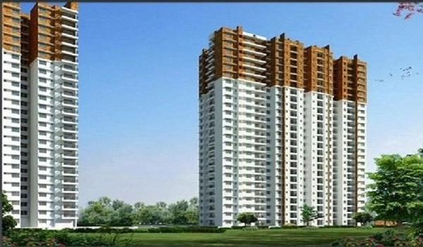 Featured Image of Prestige Evergreen Prestige Misty Waters