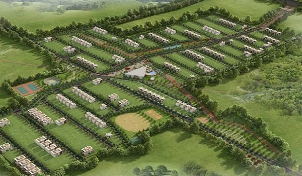 Featured Image of Prestige Evergreen Prestige Nirvana