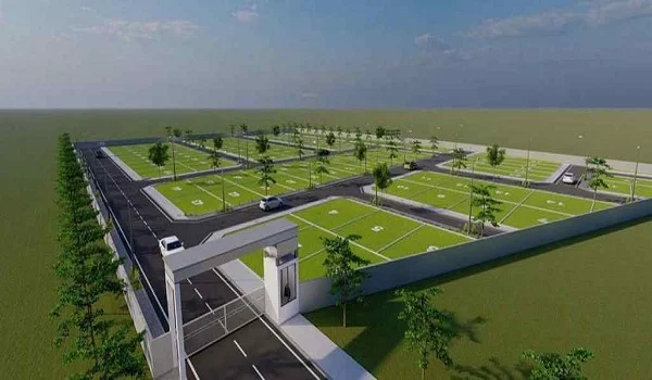 Featured Image of Prestige Evergreen Prestige Orchards