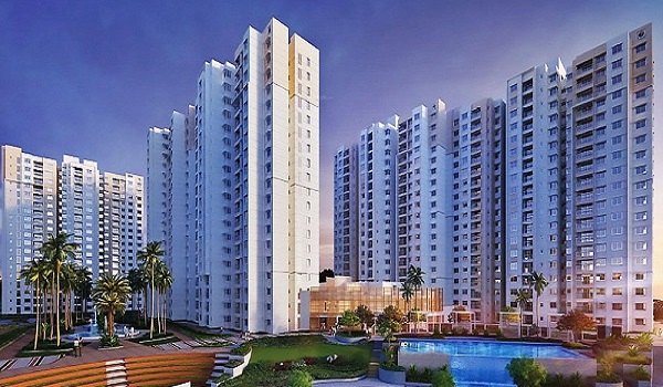 Featured Image of Prestige Evergreen Prestige Pine Forest
