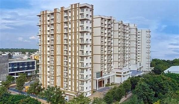 Featured Image of Prestige Evergreen Prestige Pinewood