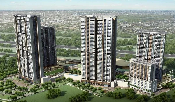 Featured Image of Prestige Evergreen Prestige Rock Cliff