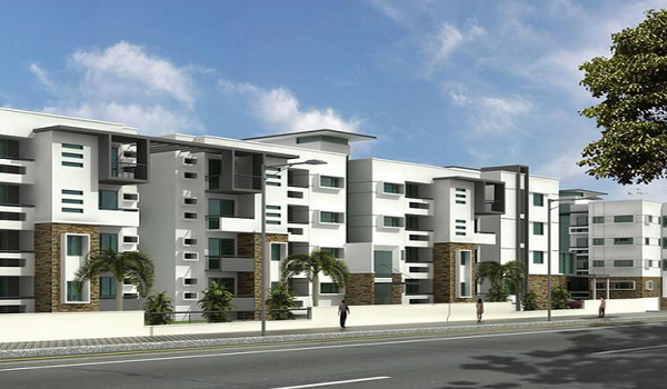 Featured Image of Prestige Evergreen Prestige Silver Crest