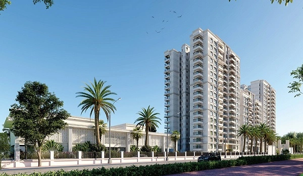 Featured Image of Prestige Evergreen Prestige Southern Star