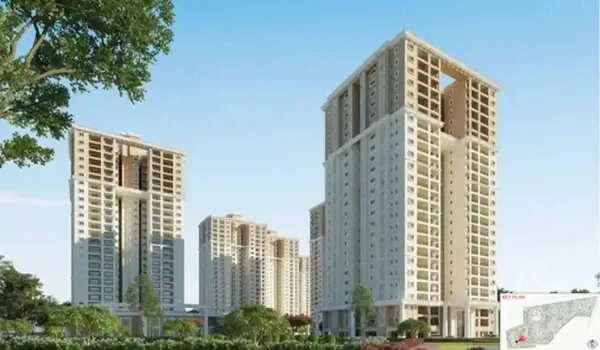 Featured Image of Prestige Evergreen Prestige Springwood