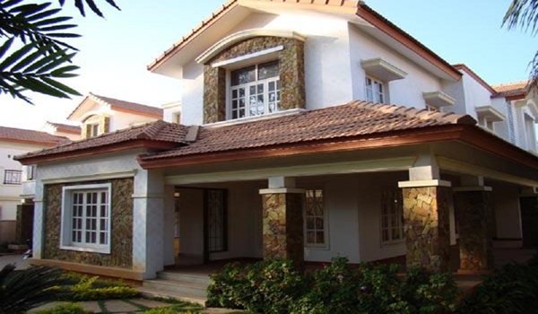 Featured Image of Prestige Evergreen Prestige Sunflower