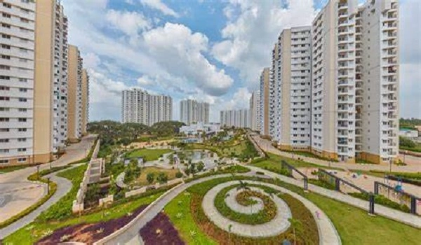 Featured Image of Prestige Evergreen Prestige Tranquility