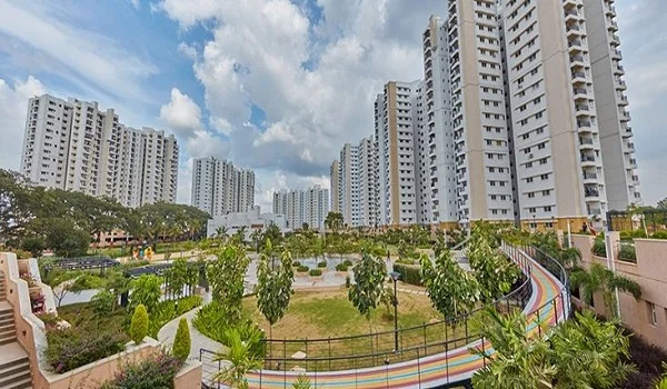 Featured Image of Prestige Evergreen Prestige Tranquillity