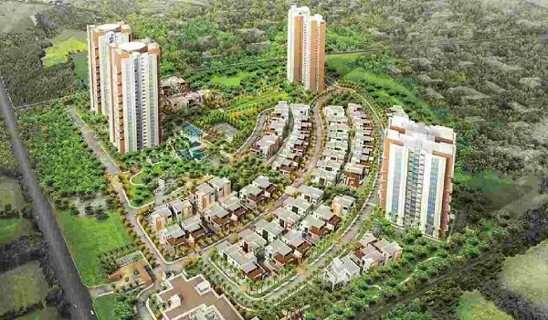 Featured Image of Prestige Evergreen Prestige White Meadows