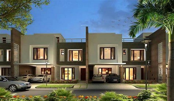 Featured Image of Prestige Evergreen Prestige Woodside