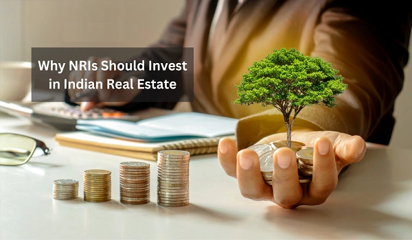 Featured Image of Prestige Evergreen Should Nris Invest In Apartments Or Plots In Bengaluru Real Estate