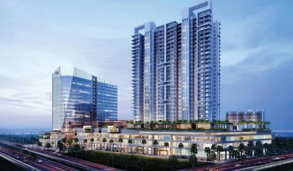 Featured Image of What is Prestige Evergreen?